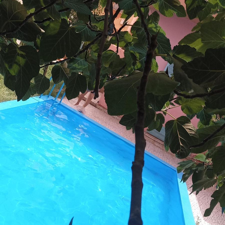 Oasispalmares Villa Ер Рашидия Екстериор снимка